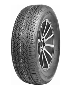 Автошина Compasal WinterBlazer HP R16 205/55 91H